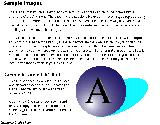 2 : Sample Images